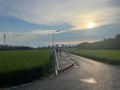 -妯娌老鸭粉丝汤(顾村公园店)