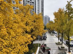 -龙头寺公园