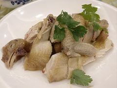 -金水门银河酒楼(新埠岛店)