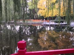-玲珑塔公园