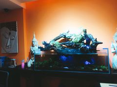 -域SPA·足疗·按摩·养生(静安寺店)