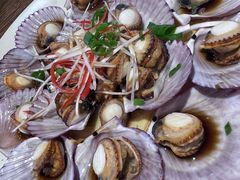 油泼扇贝-永红源啤酒·烧烤·海鲜·大排档(青特城店)