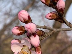 -大兴滨河森林公园