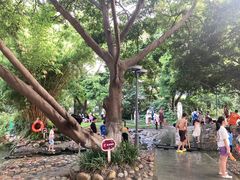 -成都市活水公园
