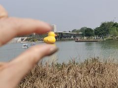-琅岐红光湖公园