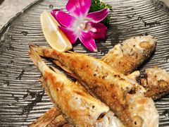 -和风铁板料理(山姆会员店)
