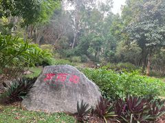 -中国科学院西双版纳热带植物园