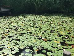 -天目湖水世界