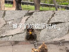 -哈尔滨北方森林动物园