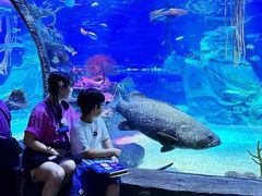 -沈阳海洋探索中心