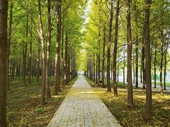 -汉景帝阳陵博物院