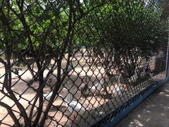-森林公园(尖草坪区)