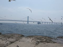 -星海广场