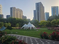 -大望京公园