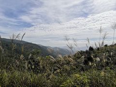 -初溪土楼群