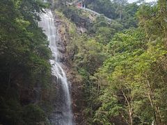 -九龙江国家森林公园