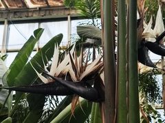 -石家庄市植物园