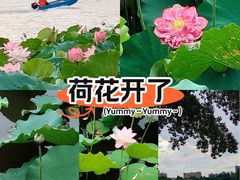-荔湾湖公园