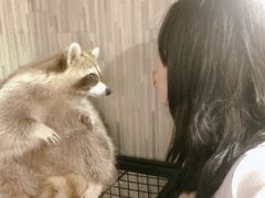 -TrueLove @ Neverland (Husky Cafe)