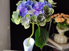 -循礼门鲜花花市(武汉循礼门店)