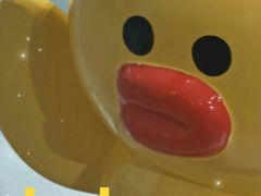 -万达广场(泰安泰山店)