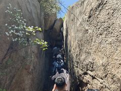 -鲁山国家森林公园