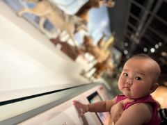 -陕西自然博物馆