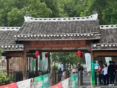 -洪湖生态旅游区