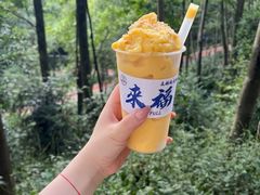 -黔灵山公园