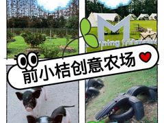 -前小桔亲子创意农场·草莓采摘·露营烧烤