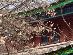 -黑龙潭公园