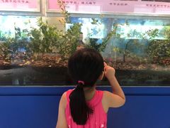 -上海昆虫博物馆