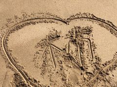 -金紫荆松骨休闲水会