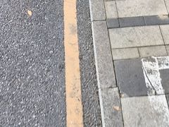 -味为先光明乳鸽(光明总店)