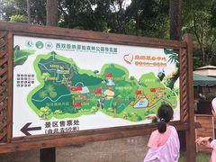 -西双版纳原始森林公园