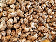 -粤海璇宫·木棉花高空旋转餐厅·聚会派对