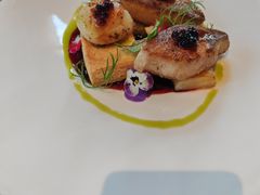 -一棵树·意大利西餐厅One Tree(新城店)