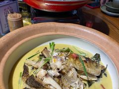 -印象鲵宴·张家界地标美食名片(溪布街店)