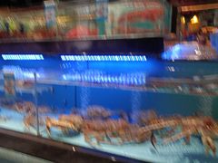-阿伟海鲜楼·福建菜(延寿店)