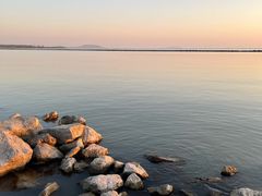 -合肥滨湖国家森林公园