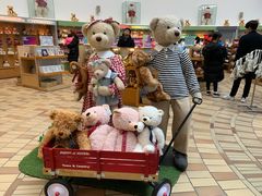 -济州岛泰迪熊博物馆