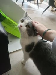 -ChuLian初莲日式美甲美睫