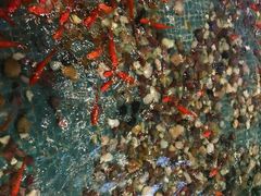 -水晶之星洗浴温泉汗蒸