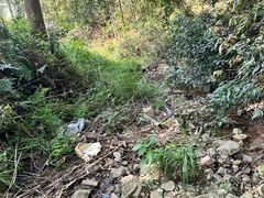 -帐篷客·溪龙茶谷度假酒店