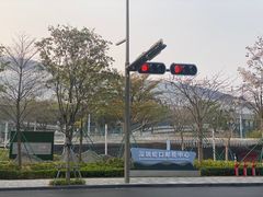 -招商蛇口邮轮母港(观光客运)