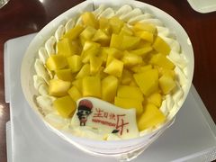 -维尔纳斯·生日蛋糕·动物奶油冰淇淋蛋糕(六里桥店)