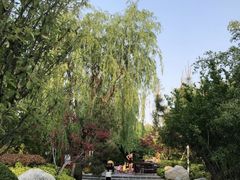 -思念果岭悦温泉