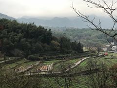 -塔川景区