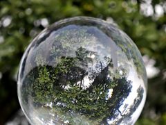 -黄埔油麻山森林公园