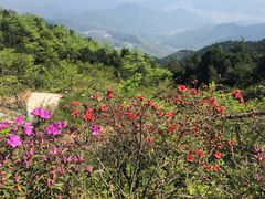 -南岳衡山风景名胜区